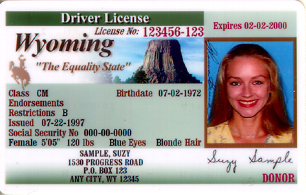driver license status idaho